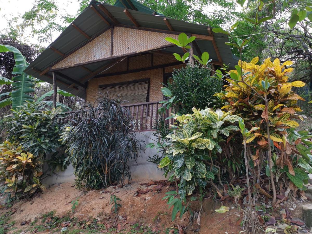 Tapik Beach Park Guest House El Nido Eksteriør bilde